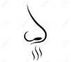 pencil drawing of a nose